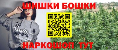 стаф Краснодар
