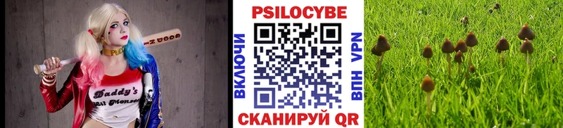 Галлюциногенные грибы прущие грибы  Кимры 