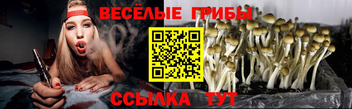 Галлюциногенные грибы Magic Shrooms  Вход с VPN  Кимры 